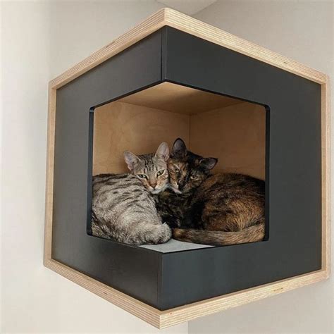 Wally Cornerbox Cat Shelf Cat Box Wall Mounted Cat Bed - Etsy | Cat climbing wall, Cat wall ...