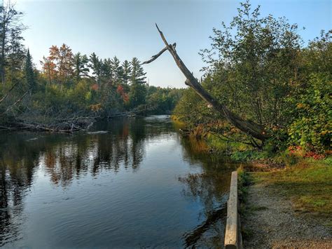 Lacing up my hiking boots: Canoeing the Au Sable River is always better in the fall