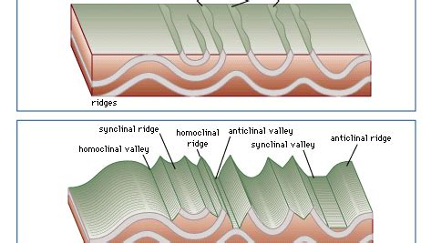 Diagram Of Anticline