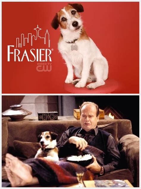 52 best images about Eddie From Frasier aka "Moose & Enzo" on Pinterest | John mahoney, Actors ...