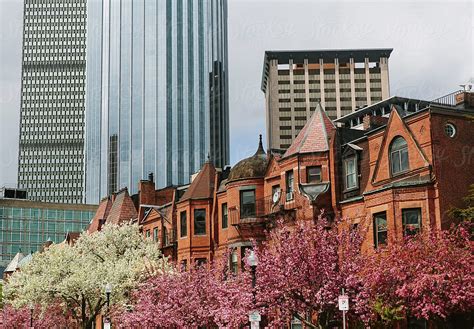 "Boston In Spring With Trees In Bloom" by Stocksy Contributor "Raymond ...