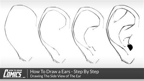 How To Draw a Ears - Step By Step Tutorial for Drawing Ears From The Side - YouTube