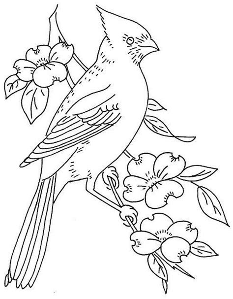 Cardinal Bird Drawing Outline : Cardinal Clipart Red Bird Clip ...