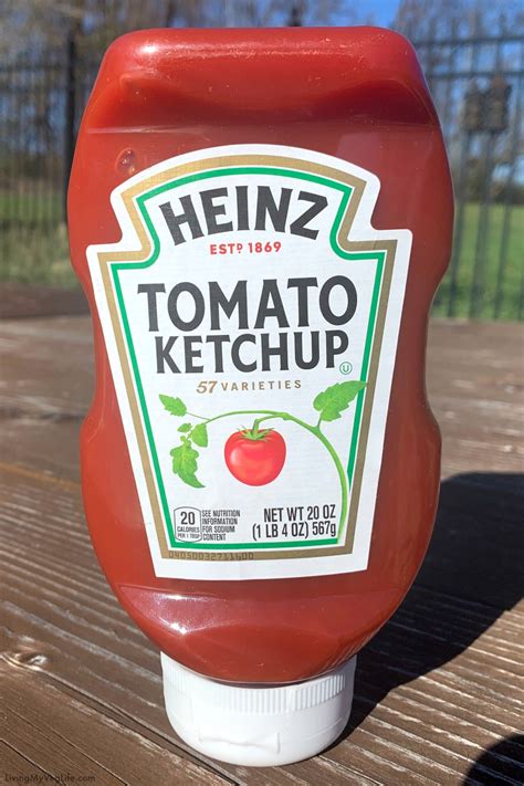 Is Ketchup Vegan? How to Tell if Ketchup is Plant-Based