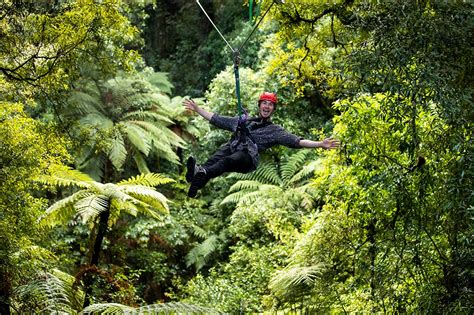 Top Things To Do In Rotorua In Spring | Rotorua Canopy Tours