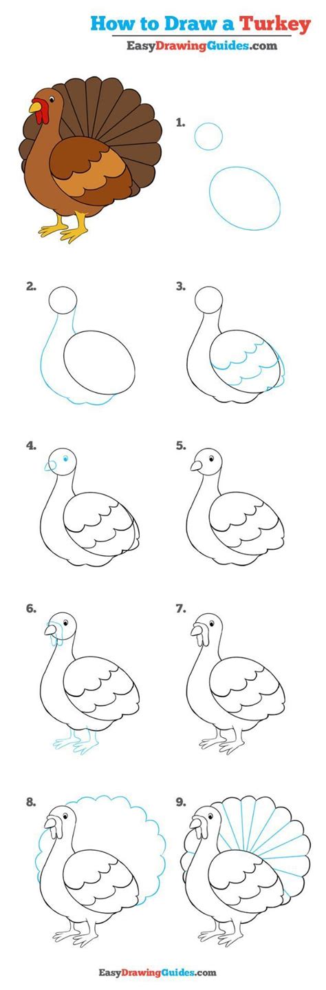 How to Draw a Turkey - Really Easy Drawing Tutorial | Drawing tutorial easy, Turkey drawing ...