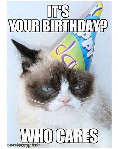 It's your birthday? Who cares! | Grumpy cat birthday, Grumpy cat, Cat ...