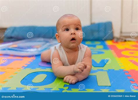 Small Cute 6 Month Baby Boy Looking Up Stock Image - Image of puzzle, healthy: 255625969