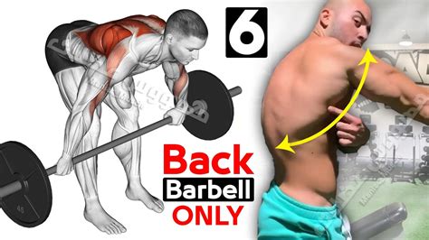 How to do Back Workout with Barbell Row - YouTube