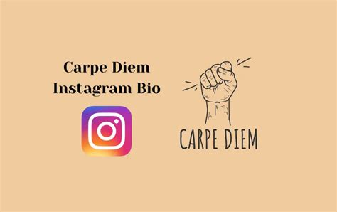 Best Carpe Diem Instagram Bio | Instagram Bio for Carpe Diem