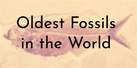 8 Oldest Fossils in the World - Oldest.org