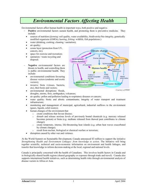 Environmental Factors Affecting Health - Athena Global