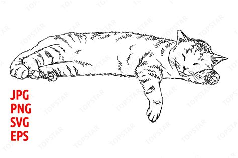 Sleeping Cat Illustration Clipart Graphic by Topstar · Creative Fabrica