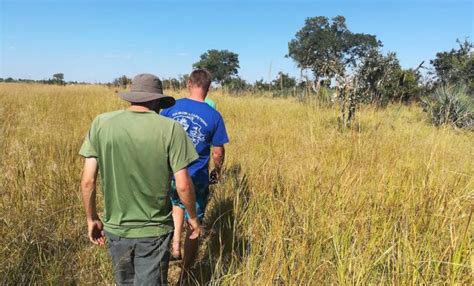 How to Book an Okavango Delta Mokoro Trip Deep In the Heart of Botswana - Quirky Travel Guy