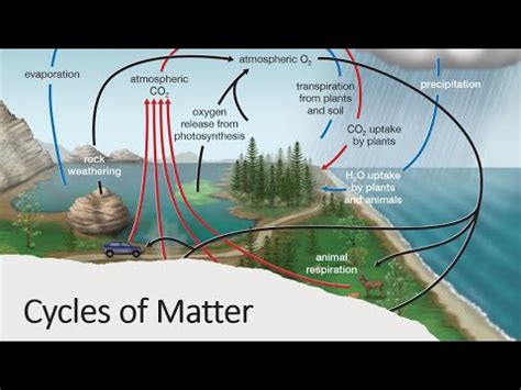 Cycles of Matter - YouTube