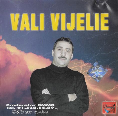 Vali Vijelie - Vali Vijelie (2001, Blue, CDr) | Discogs