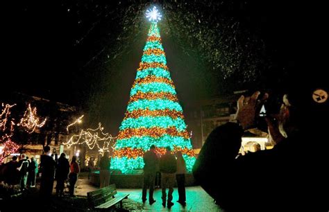 Central Park tree a magnet for Christmas celebration | News | tribdem.com