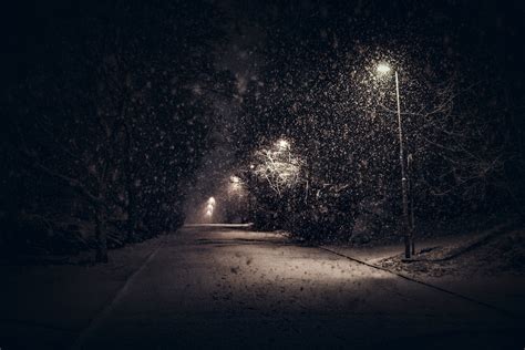 landscape, Nature, Street Light, Snow, Trees, Night, Urban, Shrubs ...