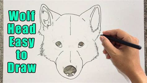 How To Draw A Wolf Head Step By Step For Kids