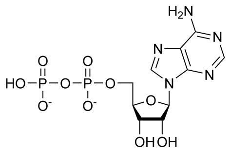 Adenosine Diphosphate | SIELC Technologies