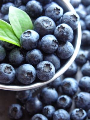 How to Grow Blueberries in Containers: Everything You Should Know! (2022)