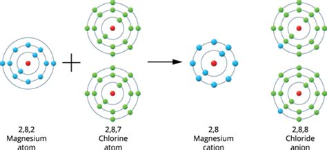 Formation of ionic bonding in NaCl and MgCl2 — lesson. Science State ...