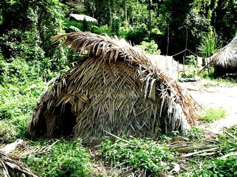 aboriginal home | Open huts are for married couples. This mo… | Flickr