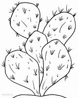 Printable Cactus Coloring Pages For Kids  Cool2bKids sketch template