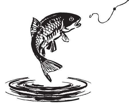 Fish jumping out of the water. Vector illustration. | Fish jumps, Salt water fishing, Water sketch
