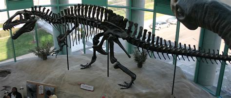 Prehistoric Beast of the Week: Acrocanthosaurus: Beast of the Week