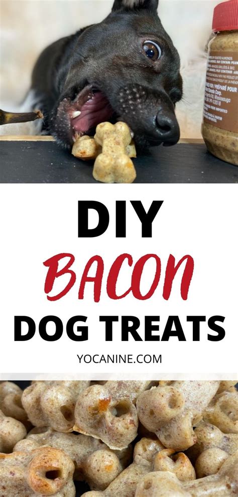 Binky’s Bacon Bakes: Best Dog Treat Bacon Recipe for Best Boys