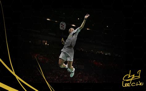 badminton Wallpaper and Background Image | 1680x1050 | ID:439771