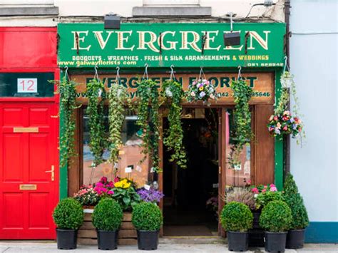 Evergreen Florists Galway | Photos, Reviews and Location Map