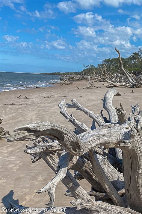 Boneyard Beach Florida - Big Talbot Island State Park « Running in a Skirt