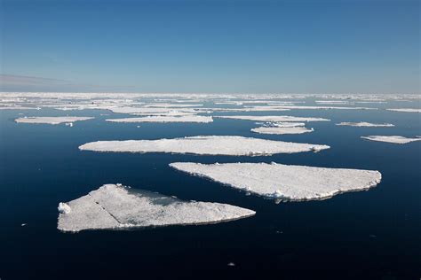 The Five Marginal Seas of the Arctic Ocean