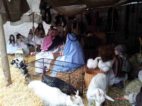 Christmas Masses at St Mel's Cathedral Longford - Catholicireland.netCatholicireland.net