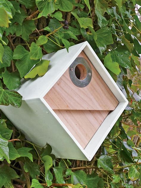 Chickadee Bird House Placement