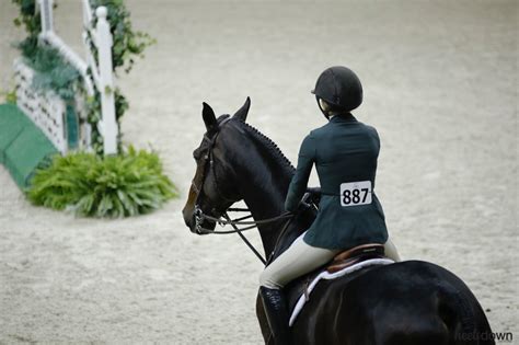 Equitation Scoring Explained - Heels Down Mag