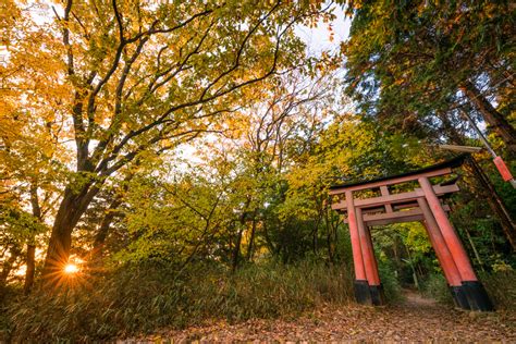 Japan Fall Colors & Autumn Foliage Guide - Travel Caffeine