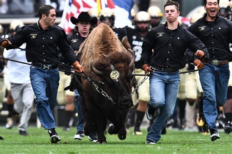 Colorado Football - Trevor Woods is a Buff - The Ralphie Report