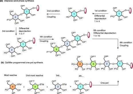 Chemoenzymatic synthesis of oligosaccharides and glycoproteins: Trends in Biochemical Sciences