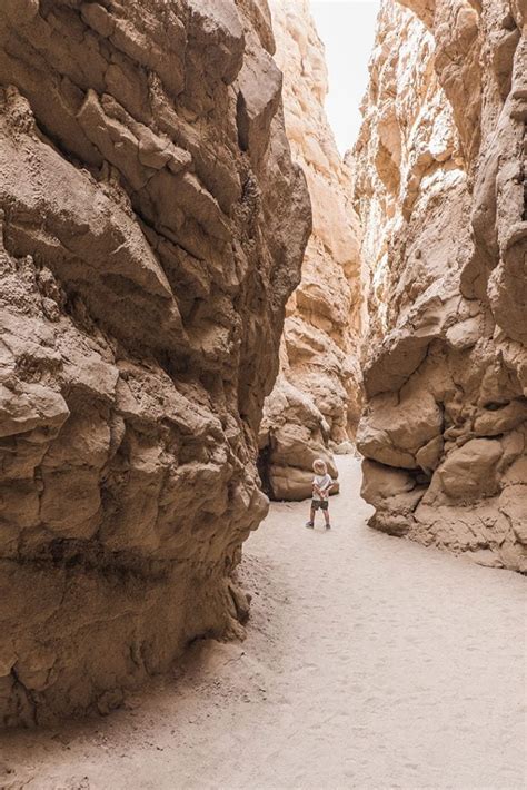 A Complete Guide to Anza-Borrego Desert State Park