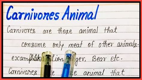 What are carnivorous animals in english - YouTube