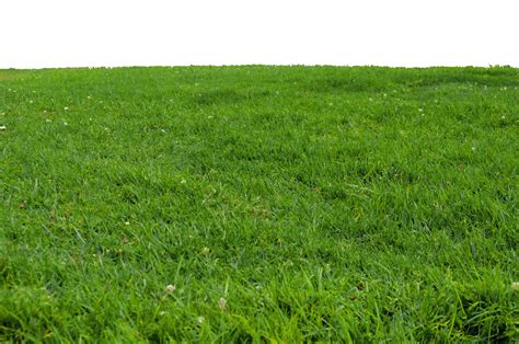 Grass PNG Transparent Images | PNG All