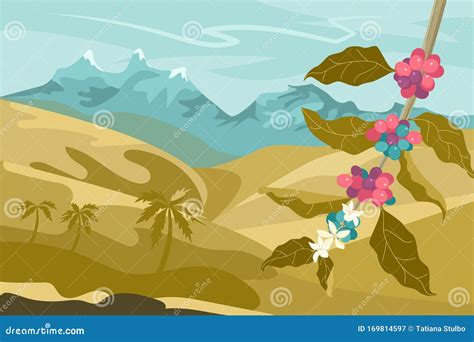 Coffee Plantation Landscape Stock Vector - Illustration of coffee, enjoyment: 169814597