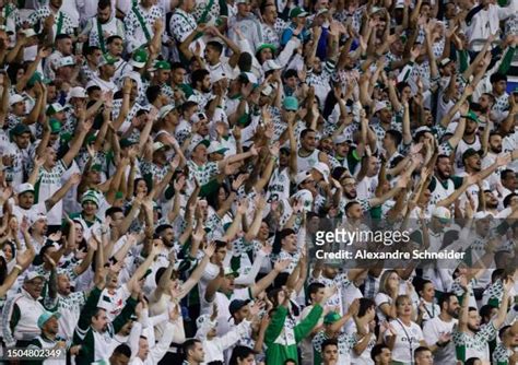 1,937 Palmeiras Fans Stock Photos, High-Res Pictures, and Images ...