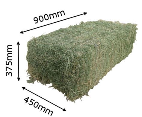 How Much Does 1 Bale of Hay Weigh