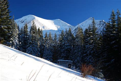 Winter in National Park of Rodnei Mountains Stock Image - Image of mountaineering, park: 7650887