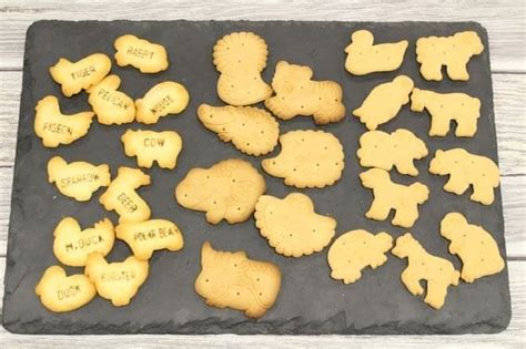 Eating and comparing "animal-shaped biscuits" in the world--maybe the ...