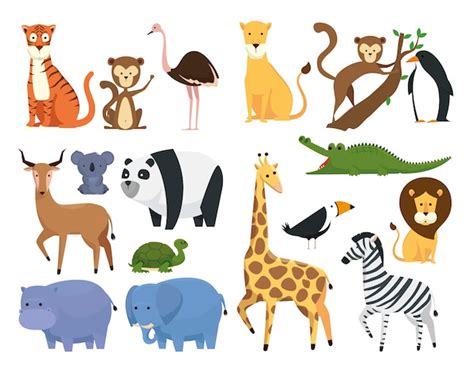 Safari Animals